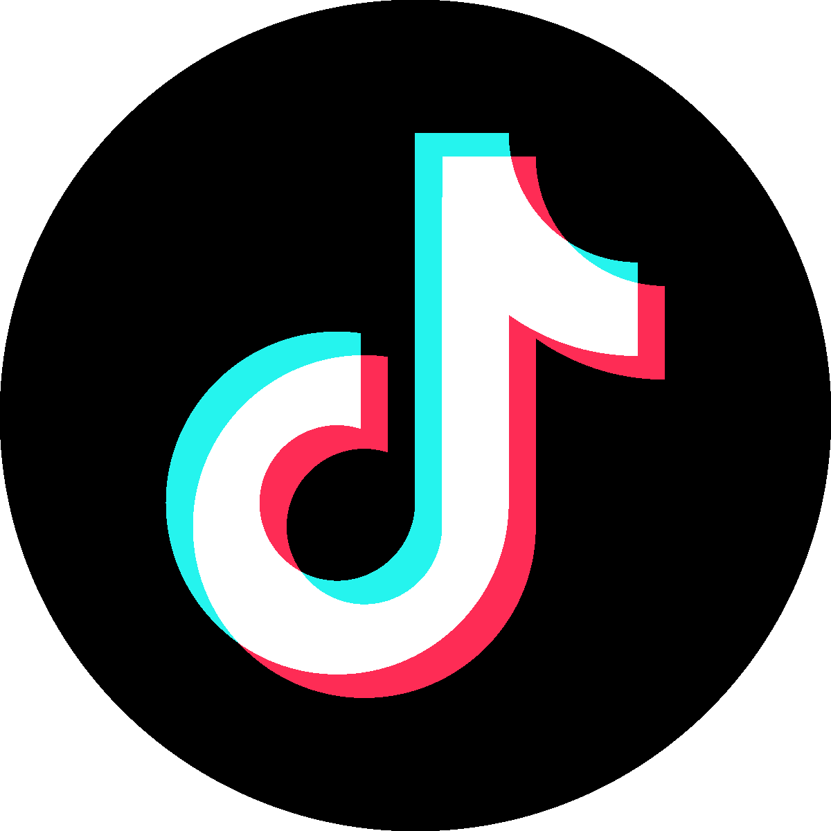 アイコン：Tiktok